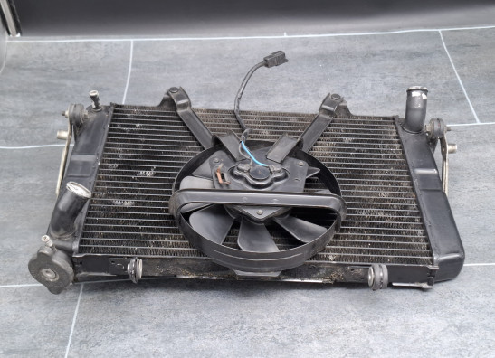 Radiator Yamaha FZR 1000