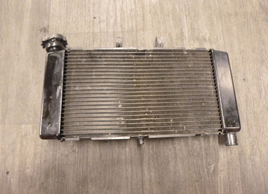 Radiateur Honda NC 750 S