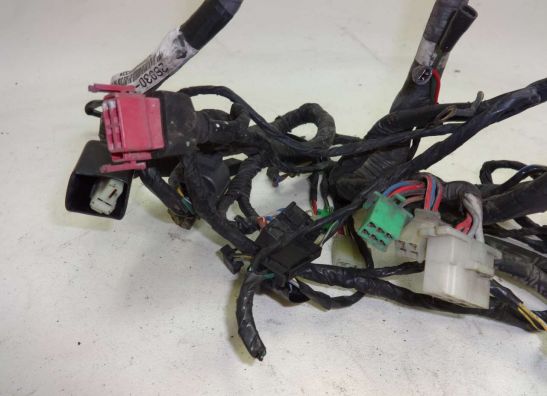 Kabelbaum Kawasaki ZZR 1100