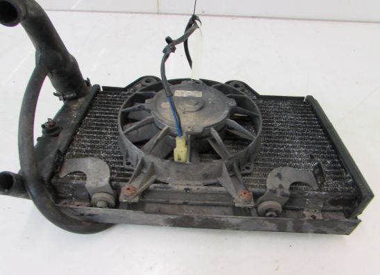 Radiator Triumph 1200 Daytona
