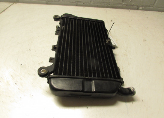 Radiator Kawasaki ZZR 600