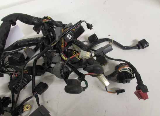 Kabelbaum Kawasaki Z 750