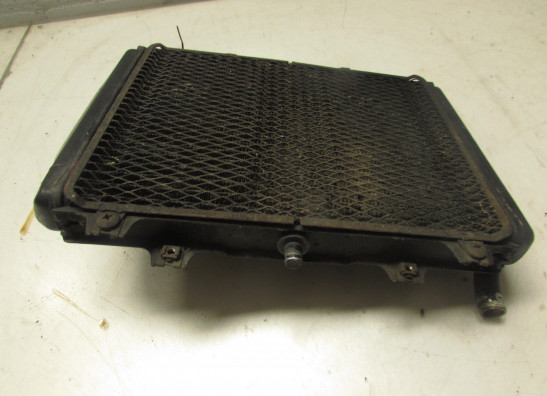 Kuhler Kawasaki GPX 600