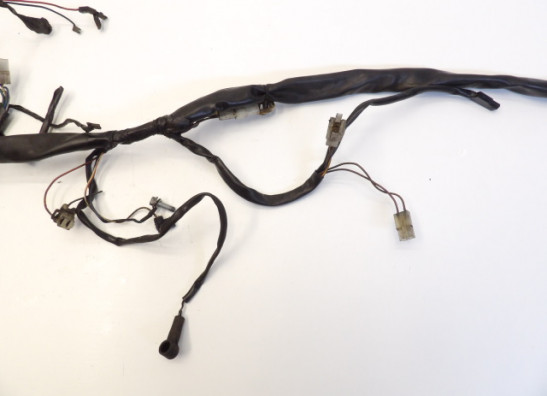 Kabelbaum Aprilia Pegaso