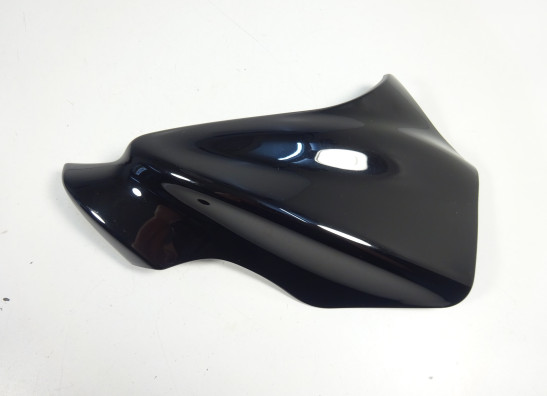 Kanzel links Kawasaki ER 6