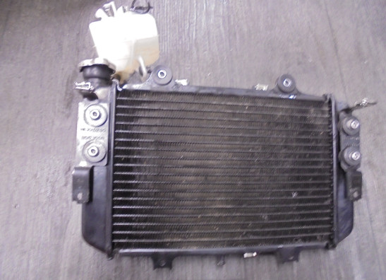 Radiateur BMW G 310 GS