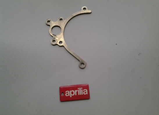 Other Aprilia RSV 1000