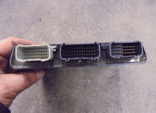 CDI Einheit Triumph Tiger 900 Rally Pro