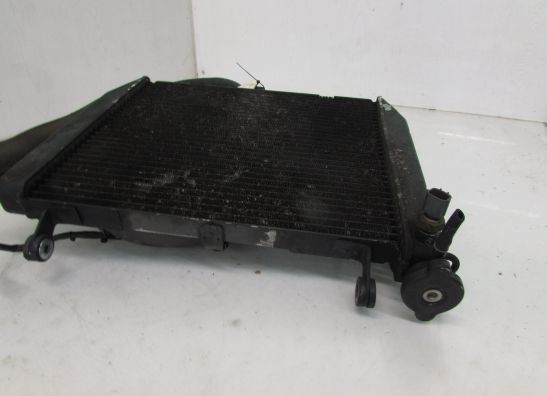 Kuhler Yamaha YZF R1