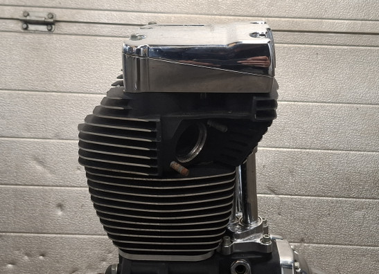 Motorblok Harley Davidson FLSTF Fat Boy Lo
