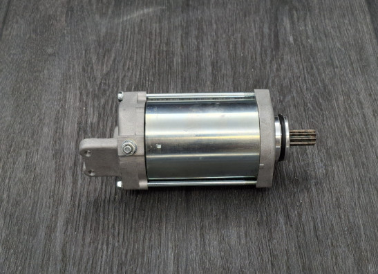 Startmotor Suzuki LS 650