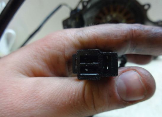 Dynamo Kawasaki EL 250