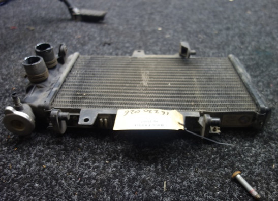 Radiator BMW F 800 S - ST