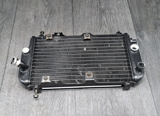 Radiateur Honda XL 125 Varadero