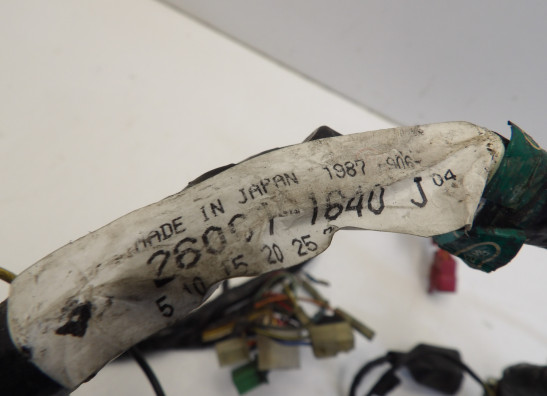 Wire Harness Kawasaki GPZ 900