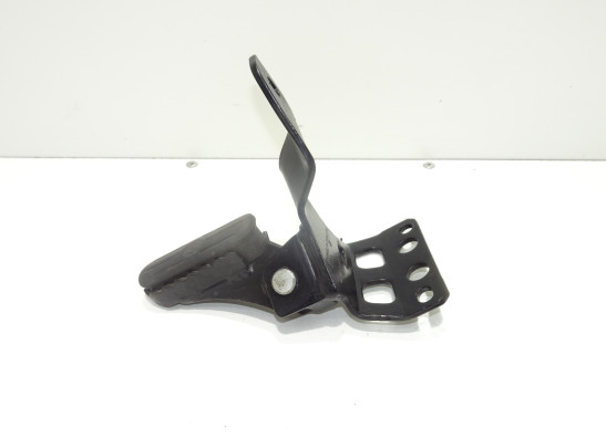 Rechter schetsplaat BMW F 650 GS
