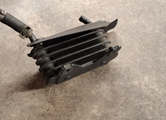 Olkuhler BMW R 1150 R