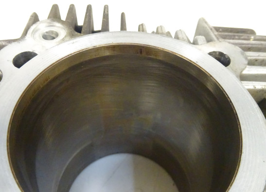 Cilinderblok Ducati monster 600