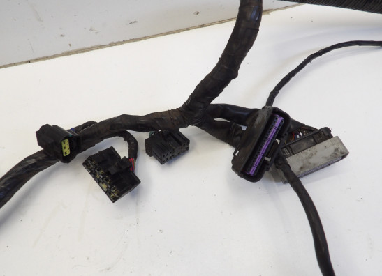 Kabelboom Triumph Sprint ST 1050