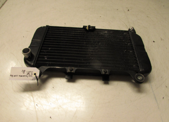 Kuhler Kawasaki ZZR 600