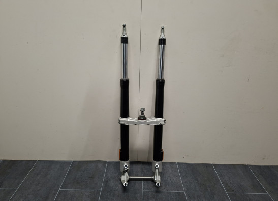 Voorpoten compleet BMW R 1250 GS