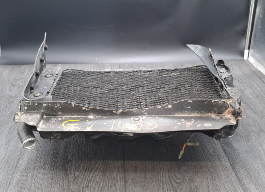 Radiateur Suzuki Gv 1400 cavalcade