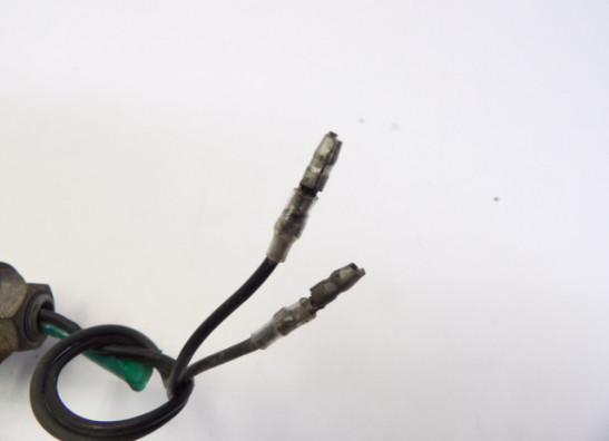 Winker left rear Yamaha XV 700 / 750 SE