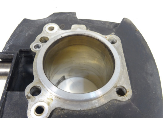 Cilinderblok Ducati monster 600