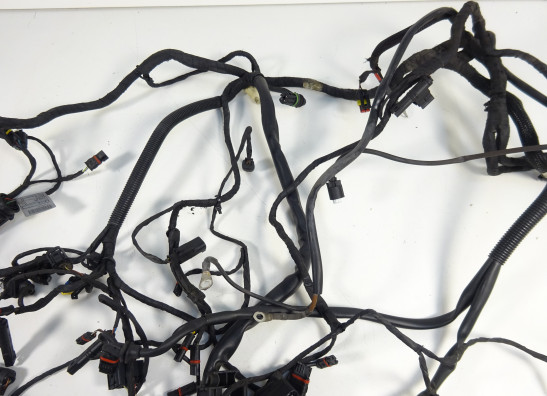 Kabelboom BMW F 650 GS