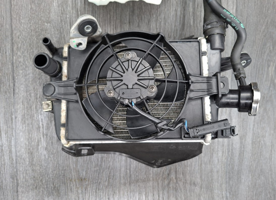 Radiateur BMW R 1250 GS Adventure