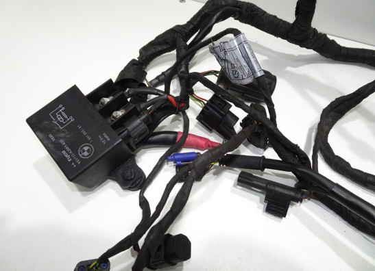 Kabelboom BMW F 800 R