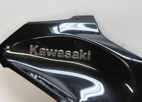 Tankcover Kawasaki Z 900