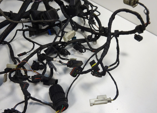 Kabelbaum BMW K 1200 S 