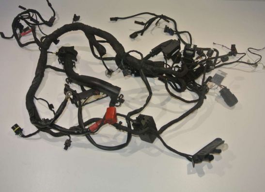Kabelboom BMW R 1200 R