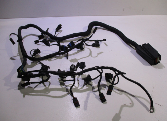 Kabelboom voor BMW K 1200 S 