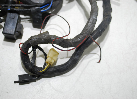 Wire Harness Kawasaki ZZR 1100