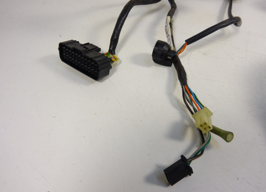 Kabelboom Honda CB 600 F