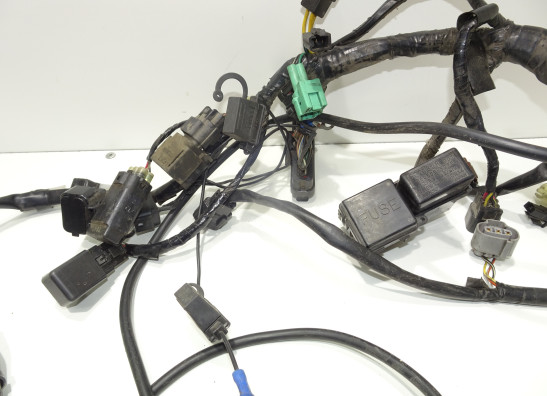 Kabelbaum Suzuki DL 1000 V STROM