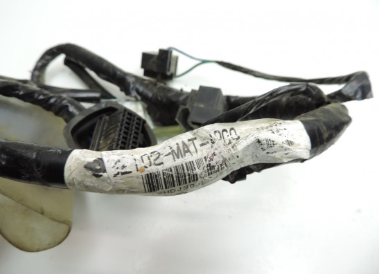 Kabelbaum vorne Honda CBR 1100 XX