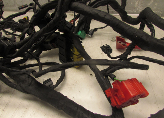 Kabelboom BMW C 650 GT