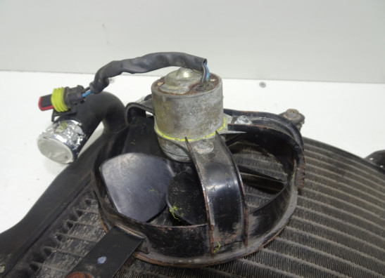 Radiator Ducati 749  999