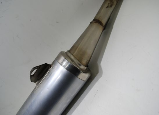 Auspuff Yamaha GTS 1000