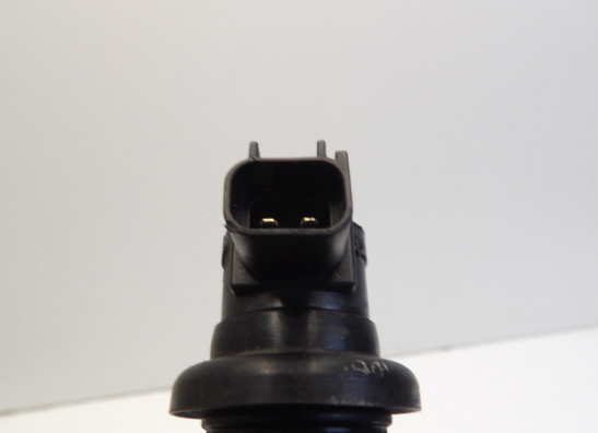 Bobine Yamaha YZF R1