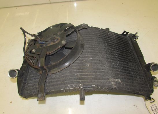 Kuhler Suzuki GSX R 750