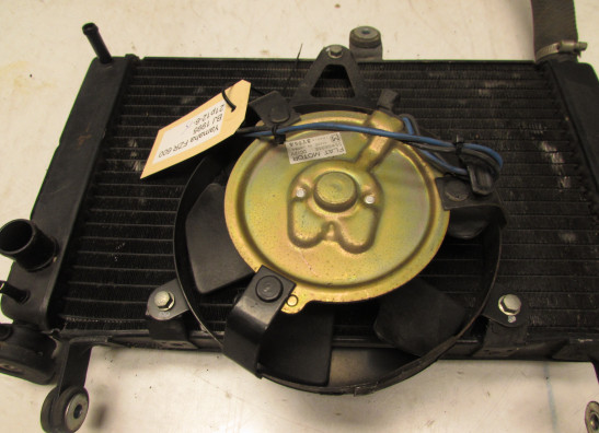 Kuhler Yamaha FZR 600