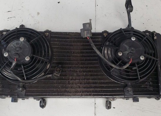 Kuhler Aprilia Tuono 1000