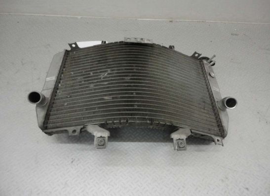 Radiator Suzuki GSX R 1000