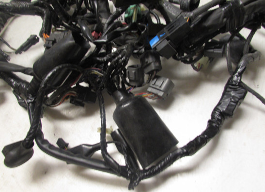 Wire Harness Kawasaki GTR 1400