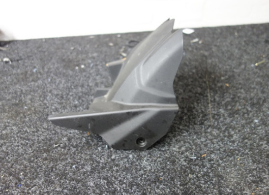 Hinterradabdeckung Kawasaki Z 650