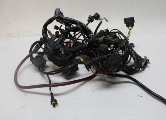 Kabelboom Ducati Monster S4RS